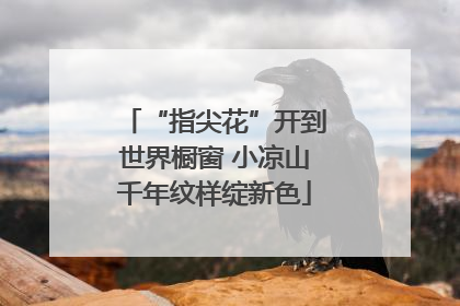 “指尖花”开到世界橱窗 小凉山千年纹样绽新色