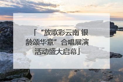 “放歌彩云南 银龄颂华章”合唱展演活动盛大启幕
