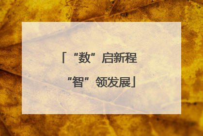 “数”启新程 “智”领发展
