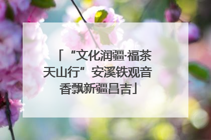 “文化润疆·福茶天山行”安溪铁观音香飘新疆昌吉