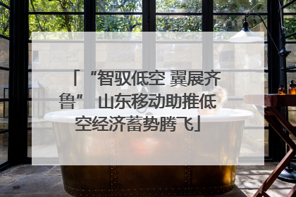 “智驭低空 翼展齐鲁” 山东移动助推低空经济蓄势腾飞