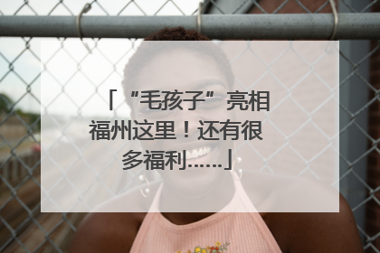 “毛孩子”亮相福州这里！还有很多福利……