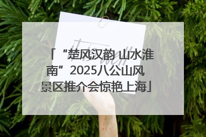 “楚风汉韵 山水淮南”2025八公山风景区推介会惊艳上海