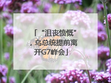 “沮丧愤慨”，乌总统提前离开G7峰会