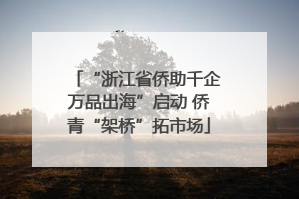 “浙江省侨助千企万品出海”启动 侨青“架桥”拓市场
