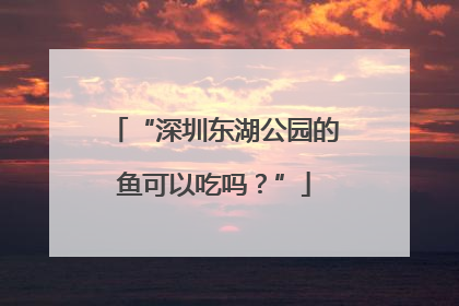 “深圳东湖公园的鱼可以吃吗？”