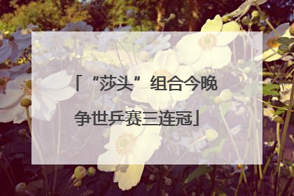 “莎头”组合今晚争世乒赛三连冠