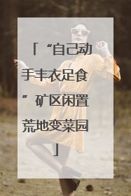 “自己动手丰衣足食”矿区闲置荒地变菜园