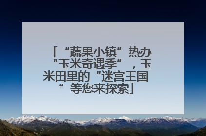 “蔬果小镇”热办“玉米奇遇季”，玉米田里的“迷宫王国”等您来探索