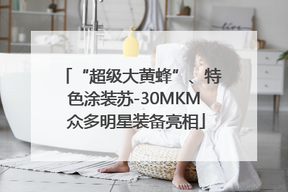 “超级大黄蜂”、特色涂装苏-30MKM 众多明星装备亮相