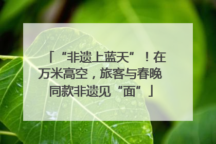 “非遗上蓝天”！在万米高空，旅客与春晚同款非遗见“面”