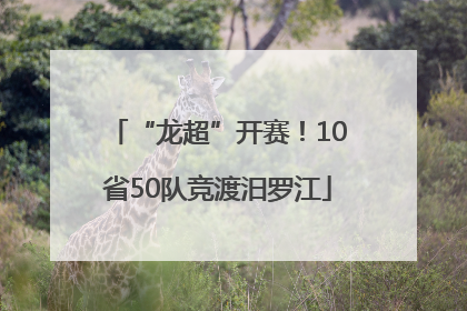 “龙超”开赛！10省50队竞渡汨罗江
