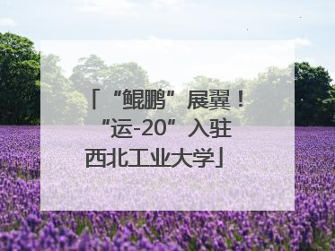 “鲲鹏”展翼！“运-20”入驻西北工业大学