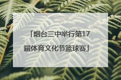烟台三中举行第17届体育文化节篮球赛