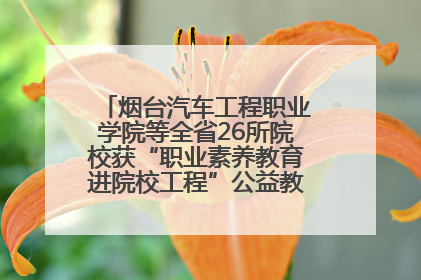 烟台汽车工程职业学院等全省26所院校获“职业素养教育进院校工程”公益教学点集中授牌