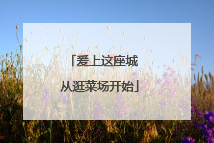 爱上这座城 从逛菜场开始