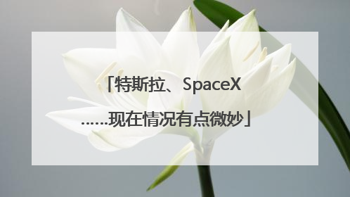 特斯拉、SpaceX……现在情况有点微妙