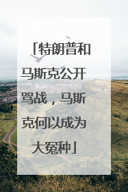 特朗普和马斯克公开骂战，马斯克何以成为大冤种