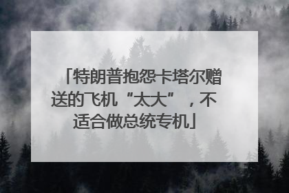 特朗普抱怨卡塔尔赠送的飞机“太大”，不适合做总统专机