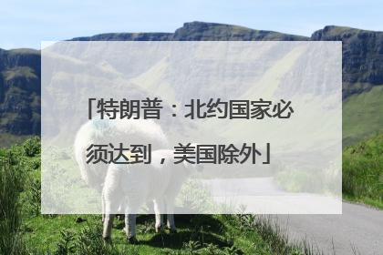 特朗普：北约国家必须达到，美国除外