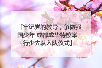 牢记党的教导，争做强国少年 成都成华特校举行少先队入队仪式