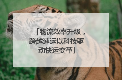 物流效率升级，跨越速运以科技驱动快运变革