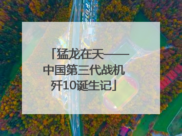 猛龙在天——中国第三代战机歼10诞生记