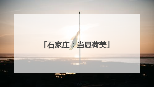 石家庄：当夏荷美