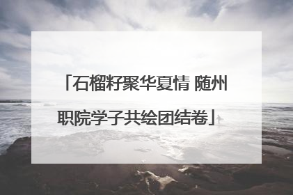 石榴籽聚华夏情 随州职院学子共绘团结卷
