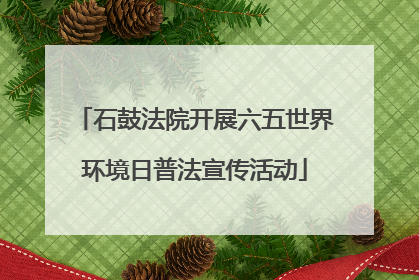 石鼓法院开展六五世界环境日普法宣传活动