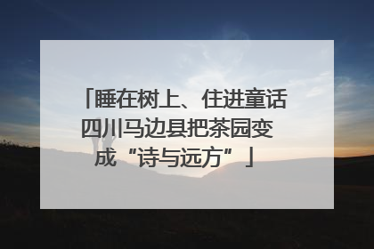 睡在树上、住进童话 四川马边县把茶园变成“诗与远方”