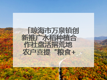 琼海市万泉镇创新推广水稻种植合作社盘活撂荒地 农户喜提“粮食+钞票”分红