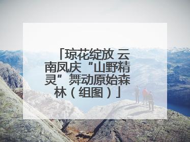 琼花绽放 云南凤庆“山野精灵”舞动原始森林（组图）