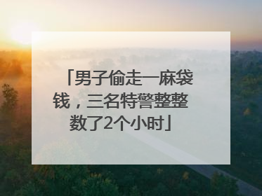 男子偷走一麻袋钱，三名特警整整数了2个小时