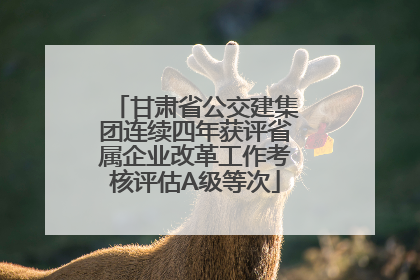甘肃省公交建集团连续四年获评省属企业改革工作考核评估A级等次