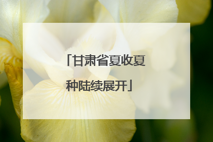 甘肃省夏收夏种陆续展开