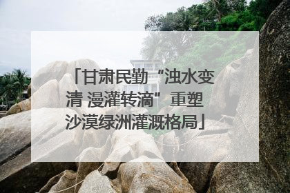 甘肃民勤“浊水变清 漫灌转滴”重塑沙漠绿洲灌溉格局