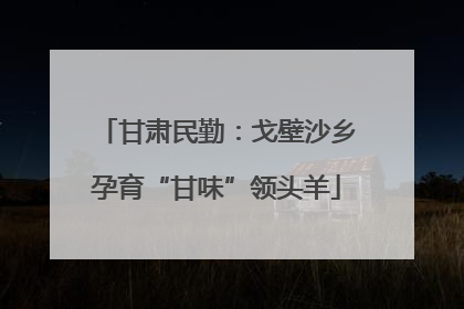 甘肃民勤：戈壁沙乡孕育“甘味”领头羊
