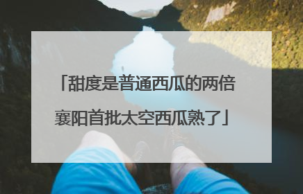 甜度是普通西瓜的两倍 襄阳首批太空西瓜熟了