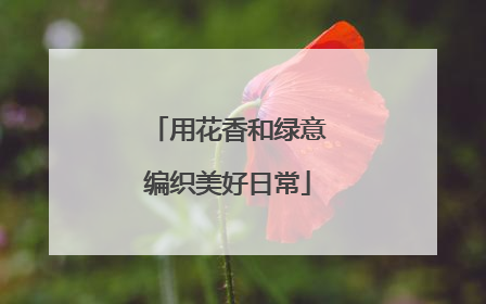 用花香和绿意编织美好日常