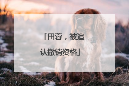 田蓉，被追认撤销资格