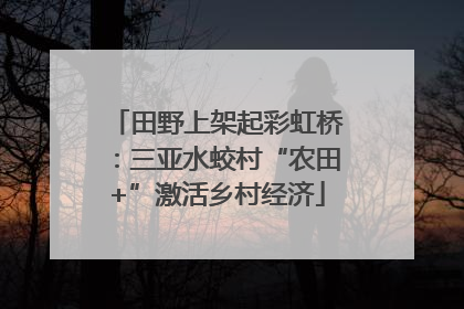 田野上架起彩虹桥：三亚水蛟村“农田+”激活乡村经济