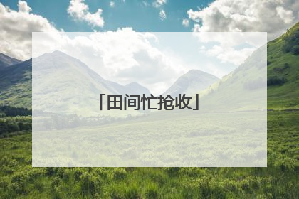 田间忙抢收