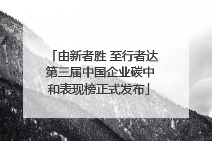 由新者胜 至行者达 第三届中国企业碳中和表现榜正式发布