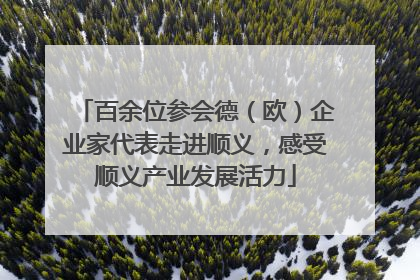 百余位参会德（欧）企业家代表走进顺义，感受顺义产业发展活力