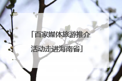 百家媒体旅游推介活动走进海南省
