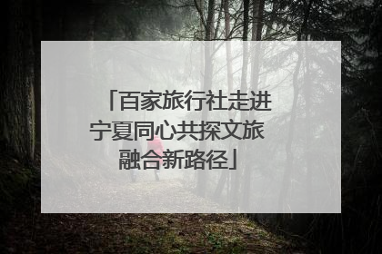 百家旅行社走进宁夏同心共探文旅融合新路径