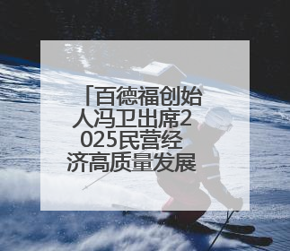 百德福创始人冯卫出席2025民营经济高质量发展大会并发言