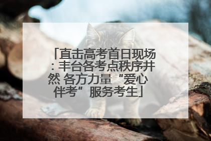 直击高考首日现场：丰台各考点秩序井然 各方力量“爱心伴考”服务考生