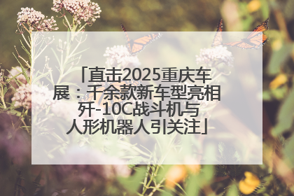 直击2025重庆车展：千余款新车型亮相 歼-10C战斗机与人形机器人引关注